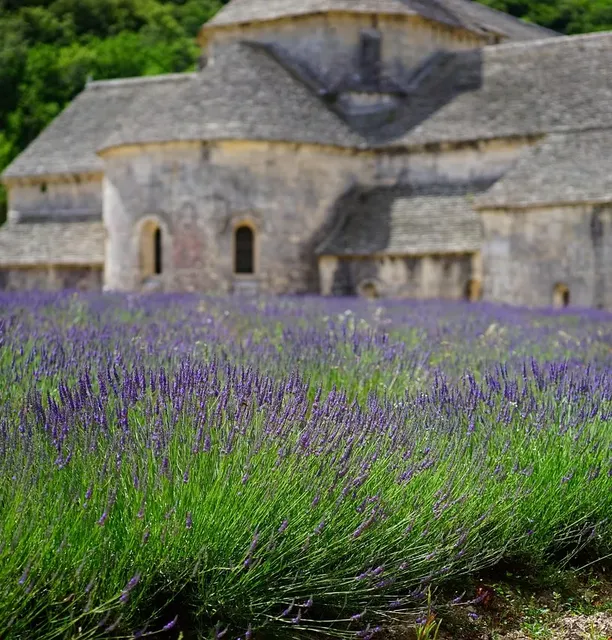 VIDA + RELAX – LAVANDA VIDA + RELAX – LAVANDA