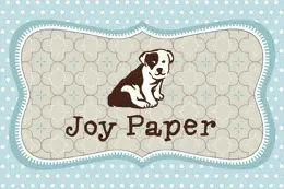 Joy Paper Papelaria