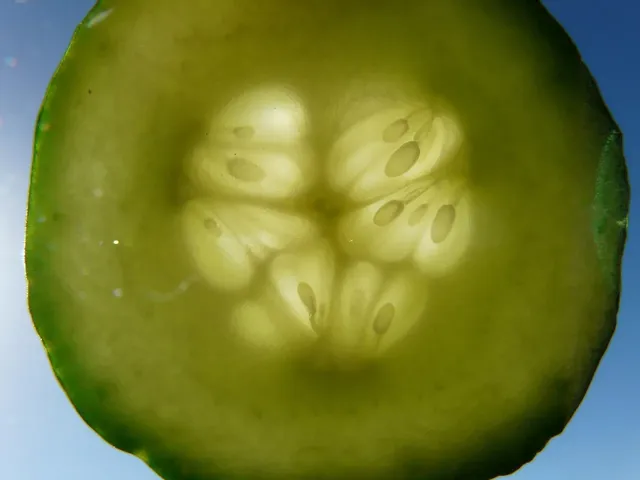 Leite de Limpeza de Pepino