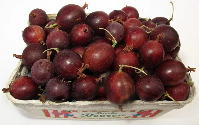Bolsa Fellipe Krein Uva 12554