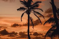 T-Shirt Sunset ddcam07