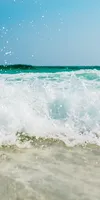 Moroccanoil Frizz Control Spray