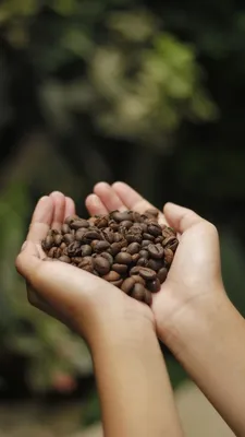 Naturalmente MAC Ebony e Lápis Eye Coffee