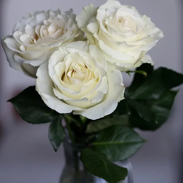Rainbow Silk Rose Quinceanera Bouquet with Ribbons