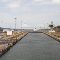 Bermuda Cargo Brim VLC