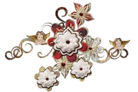 Saia Juliana ddsai03