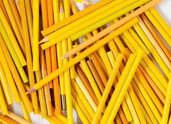 Canetinha Ponta Vai e Vem - 24 cores