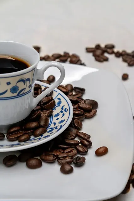 Conjunto de Xícaras para Café Flores em Porcelana New Bone - 6 pças