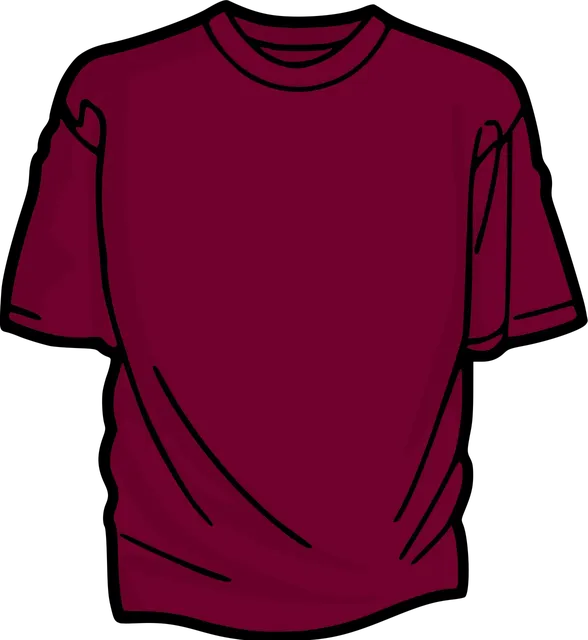 Camiseta Hollister 22 - Lojas Flexx