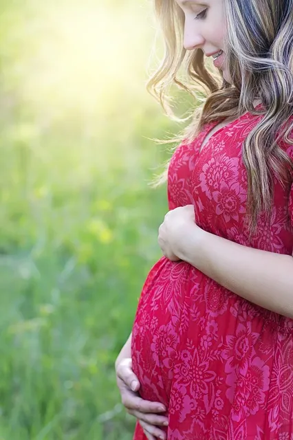 Ana Giovanna e seus lindos vestidos para mamães estilosas