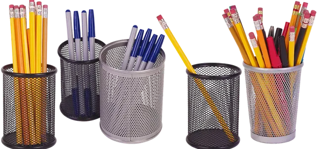 EcoLápis Grafite Grip